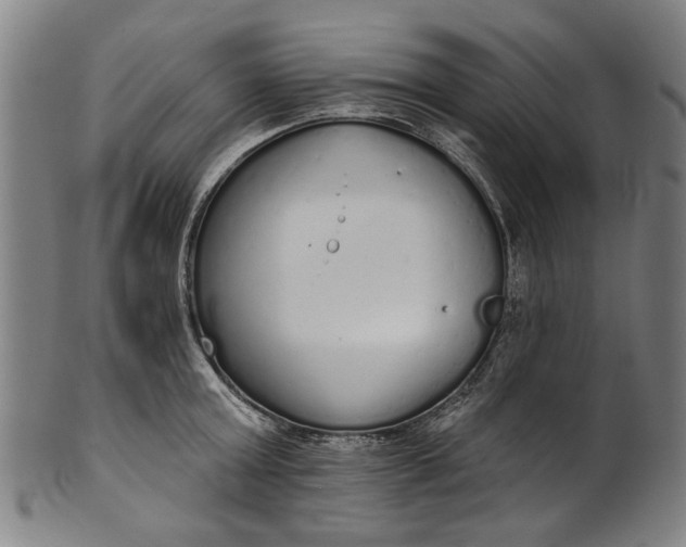 X0000101230803200807111119