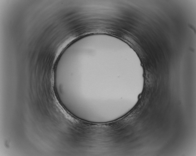 X0000101230804200807111119