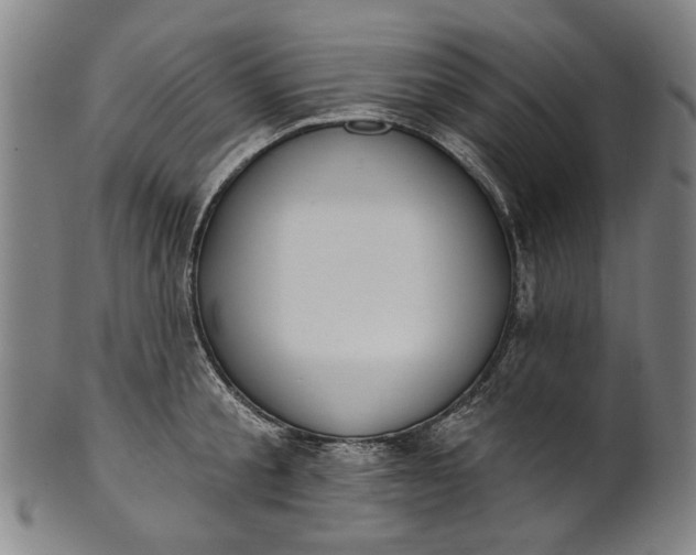 X0000101230805200807111119