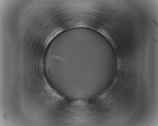 X0000101230806200807111119