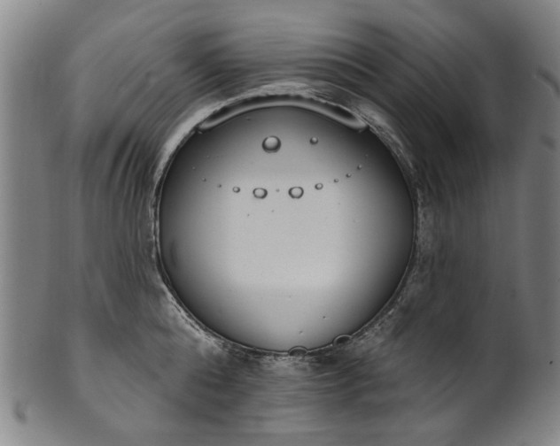 X0000101230808200807111119