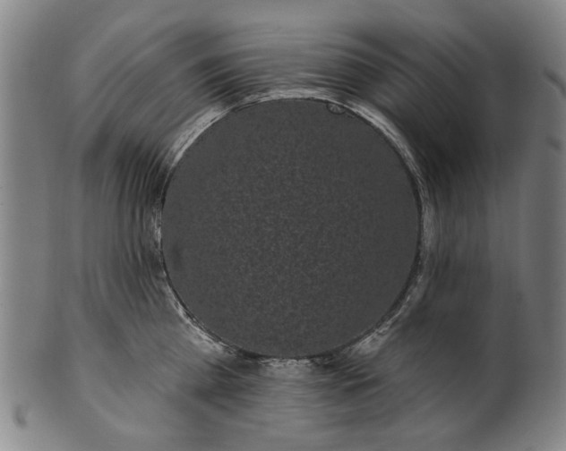 X0000101230809200807111119