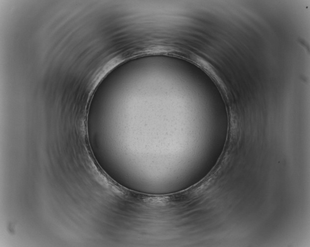 X0000101230810200807111119