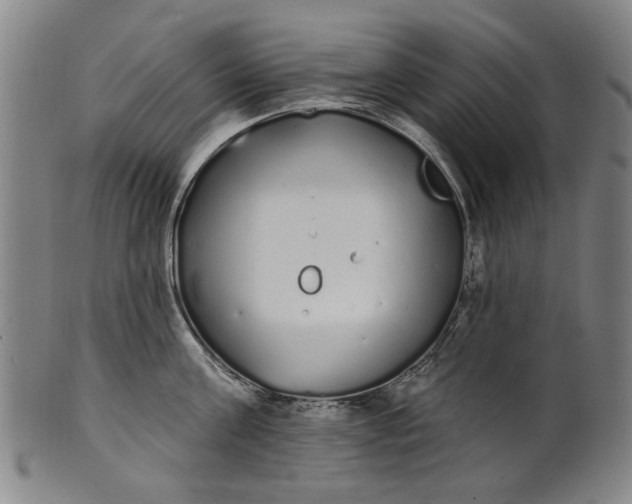 X0000101230811200807111118