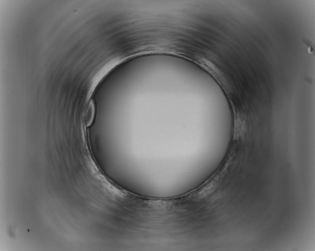 X0000101230812200807111118