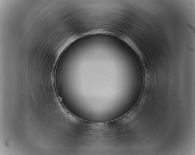 X0000101230813200807111118