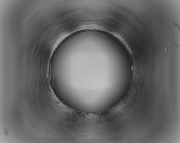 X0000101230815200807111118