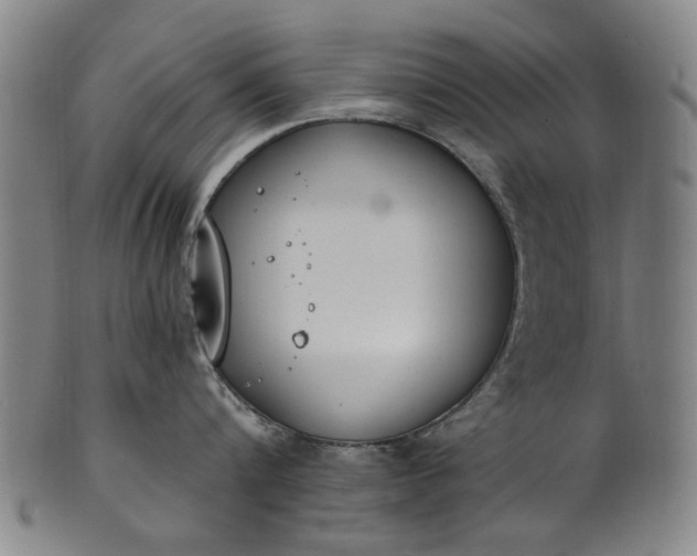 X0000101230816200807111118