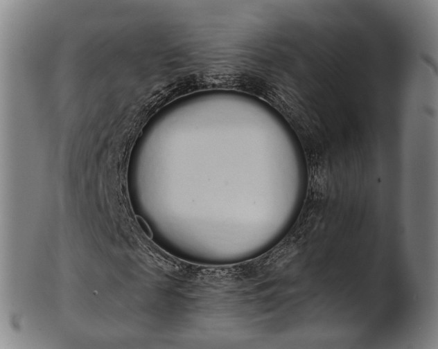 X0000101230817200807111118