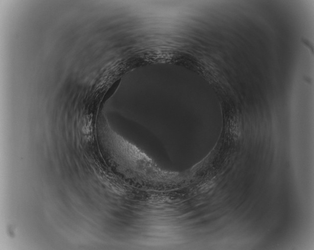 X0000101230818200807111118