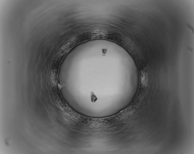 X0000101230819200807111118