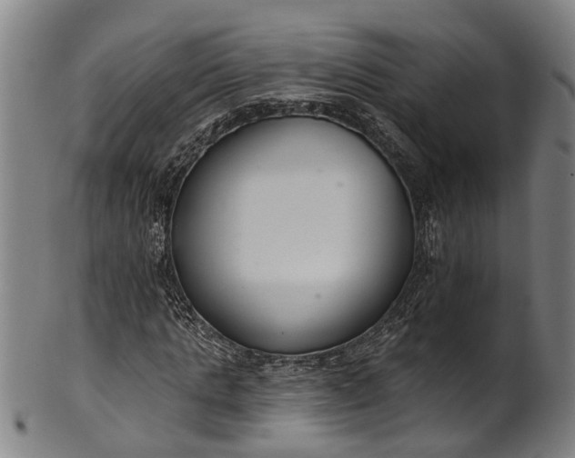 X0000101230821200807111118