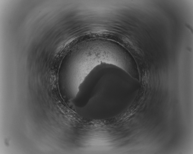 X0000101230822200807111118