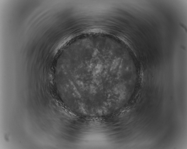 X0000101230823200807111118