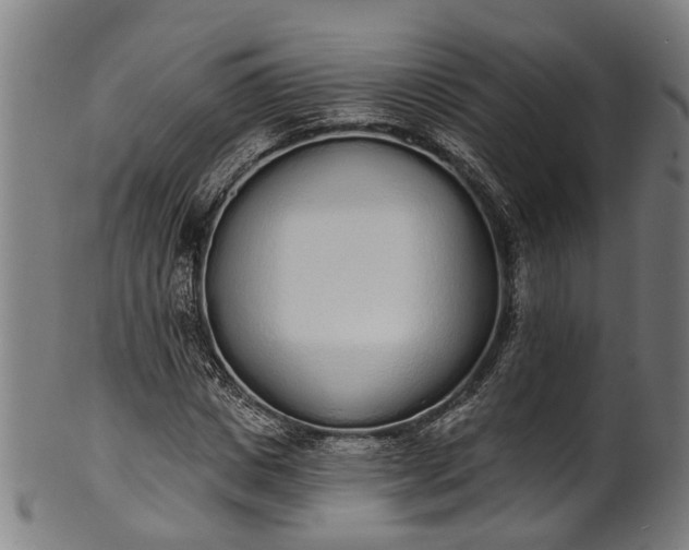 X0000101230825200807111118