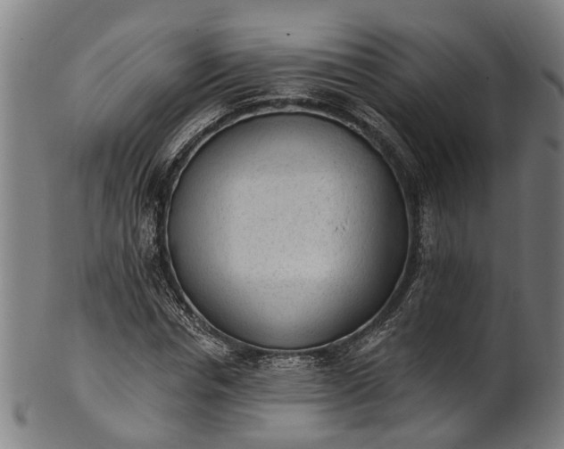 X0000101230826200807111118