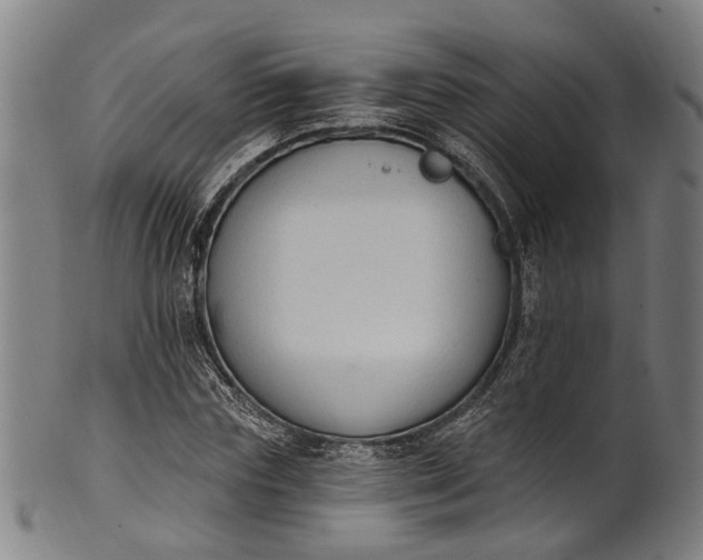 X0000101230827200807111118