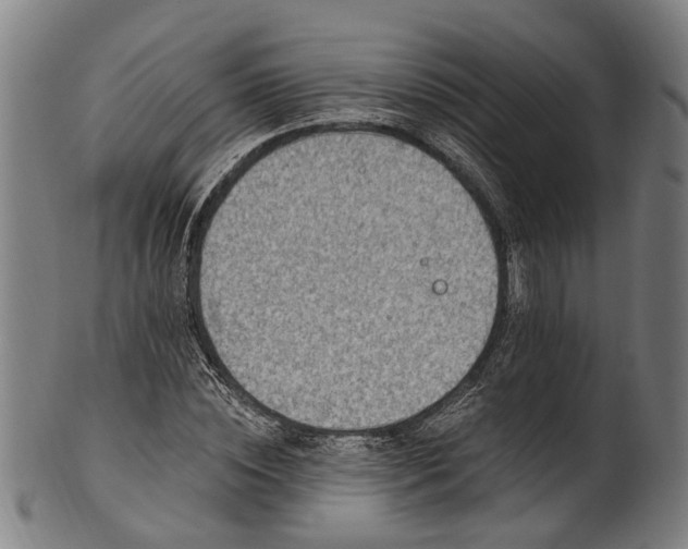 X0000101230828200807111118