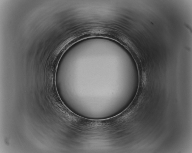 X0000101230829200807111118