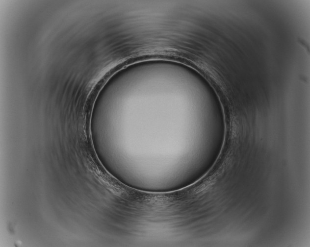 X0000101230830200807111118