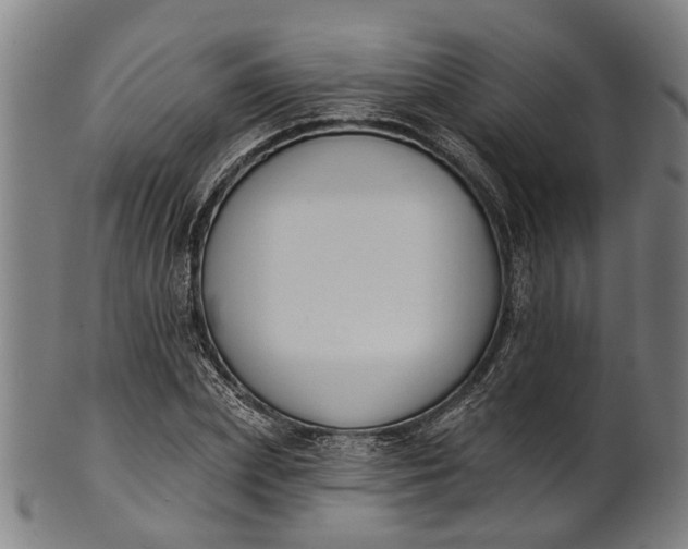 X0000101230831200807111118