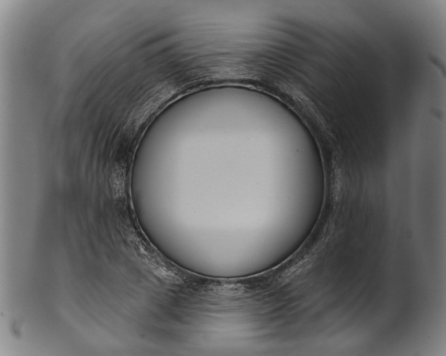 X0000101230833200807111118