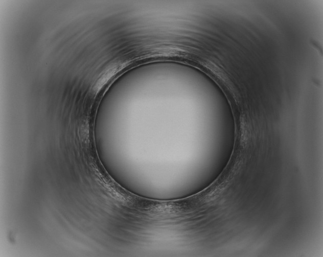 X0000101230834200807111118