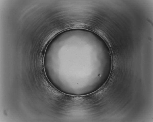 X0000101230835200807111118