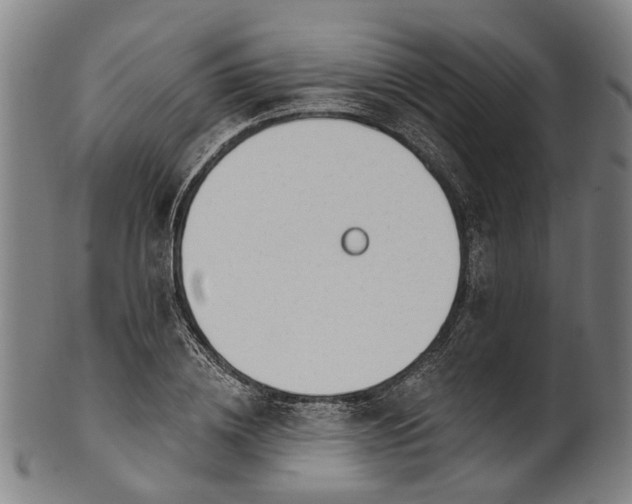 X0000101230836200807111118