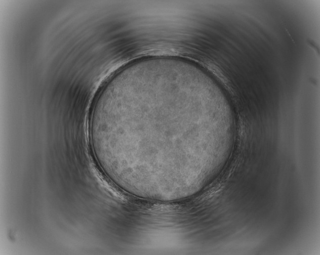 X0000101230840200807111118