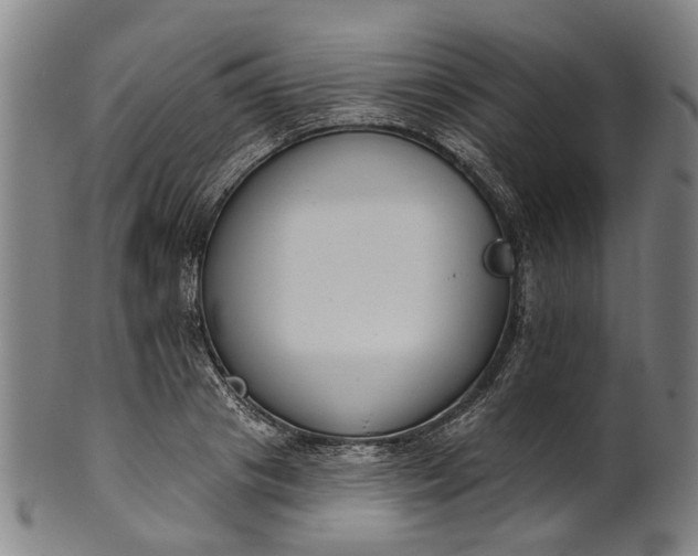 X0000101230841200807111118