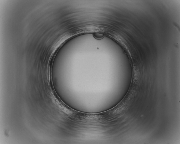 X0000101230843200807111118