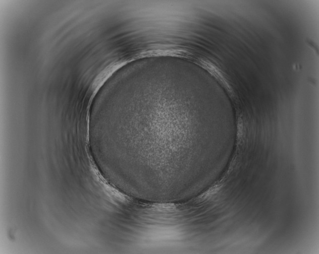 X0000101230844200807111118