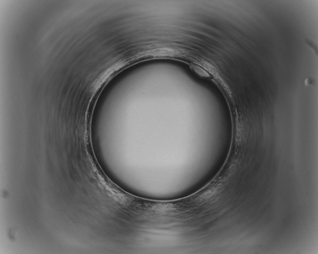 X0000101230845200807111118