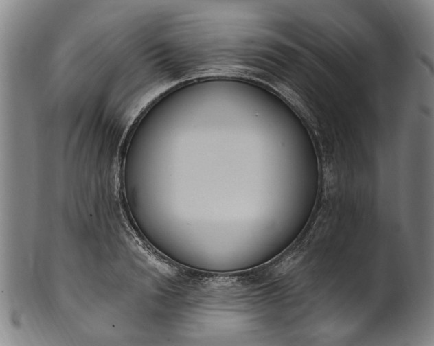 X0000101230846200807111118