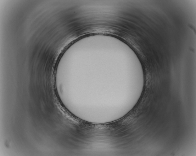 X0000101230848200807111118