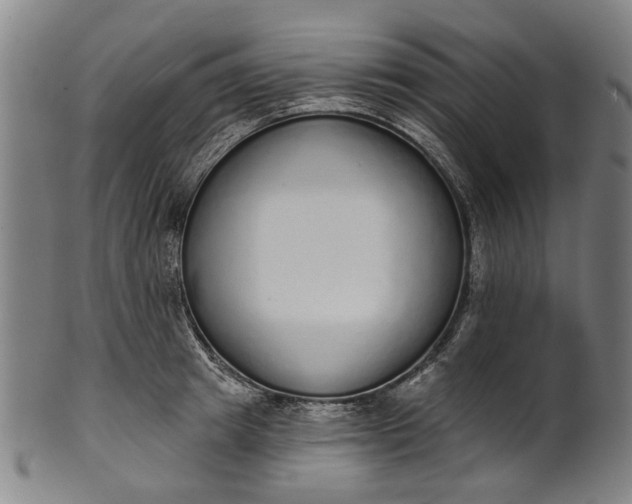 X0000101230849200807111118