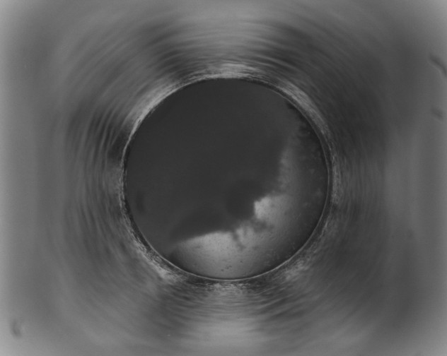 X0000101230850200807111118