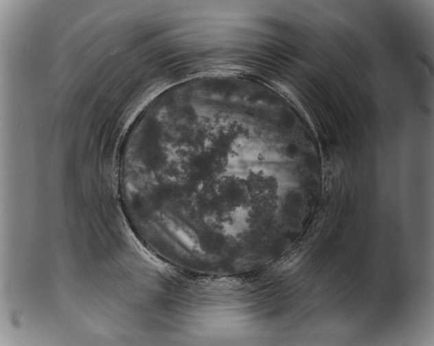 X0000101230851200807111118