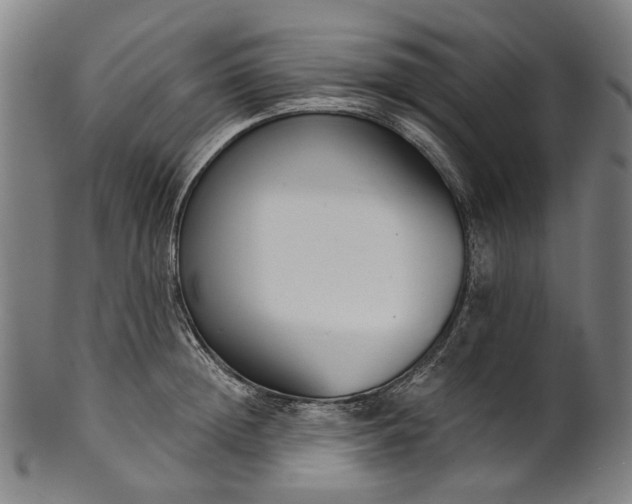 X0000101230852200807111118