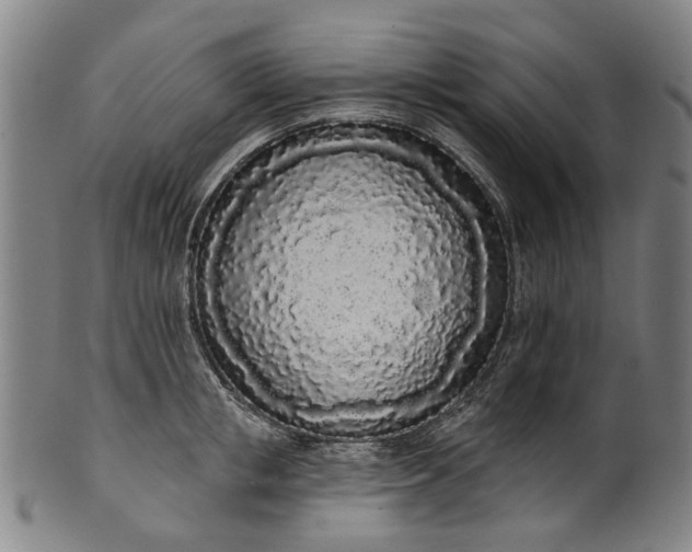 X0000101230853200807111118