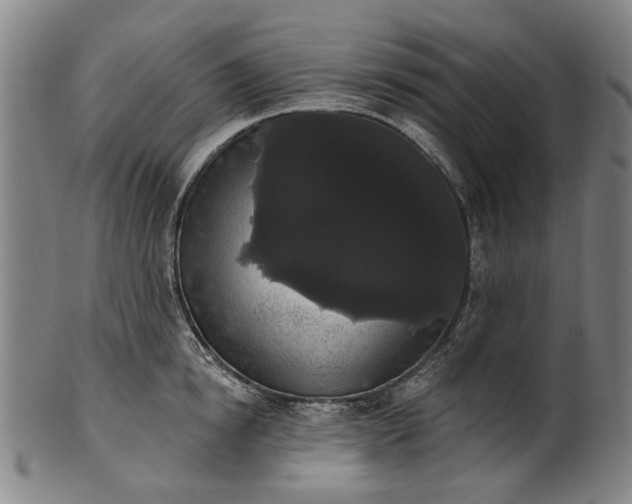 X0000101230854200807111118