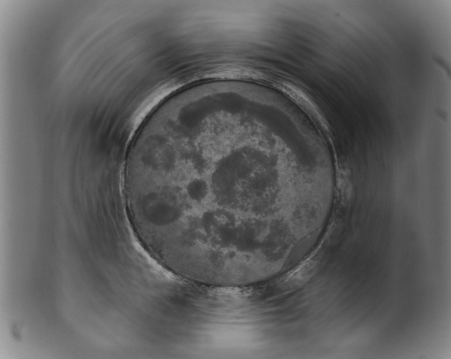 X0000101230855200807111118