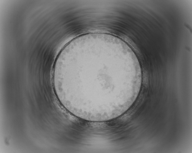 X0000101230856200807111118