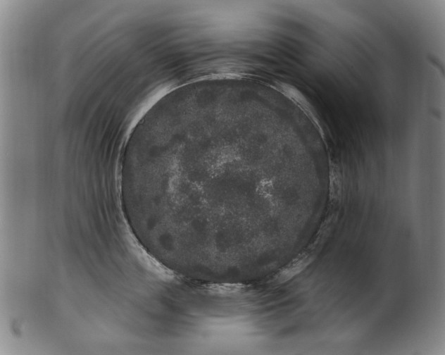 X0000101230859200807111118