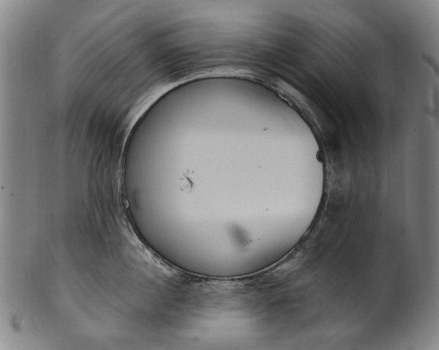 X0000101230860200807111118