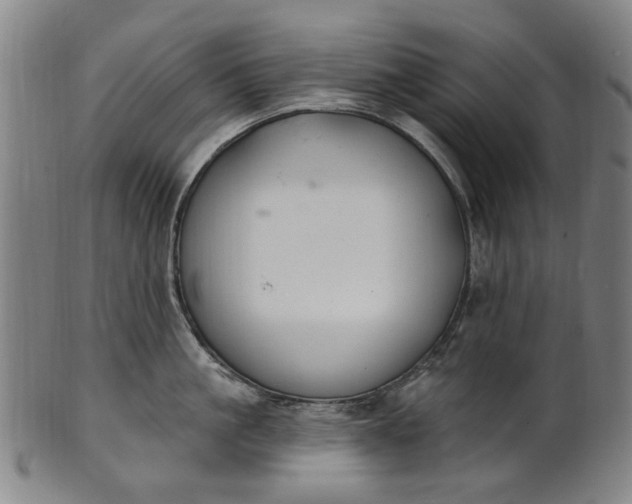 X0000101230861200807111118