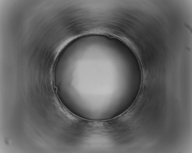 X0000101230862200807111118