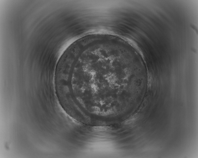 X0000101230863200807111118