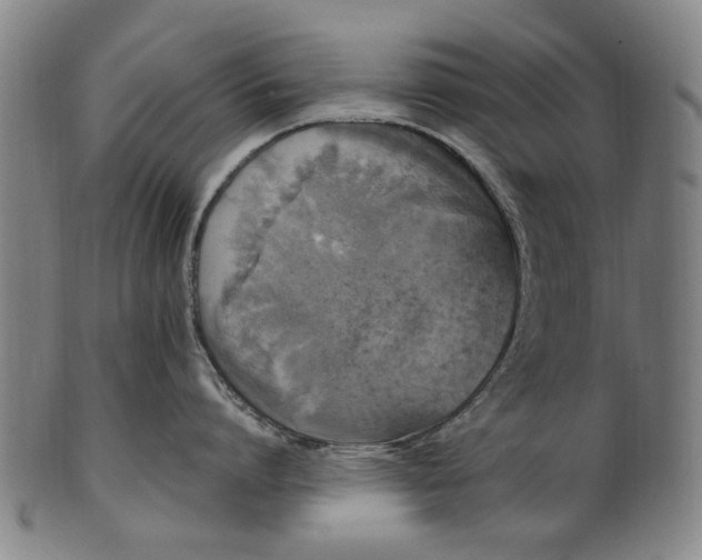 X0000101230864200807111118